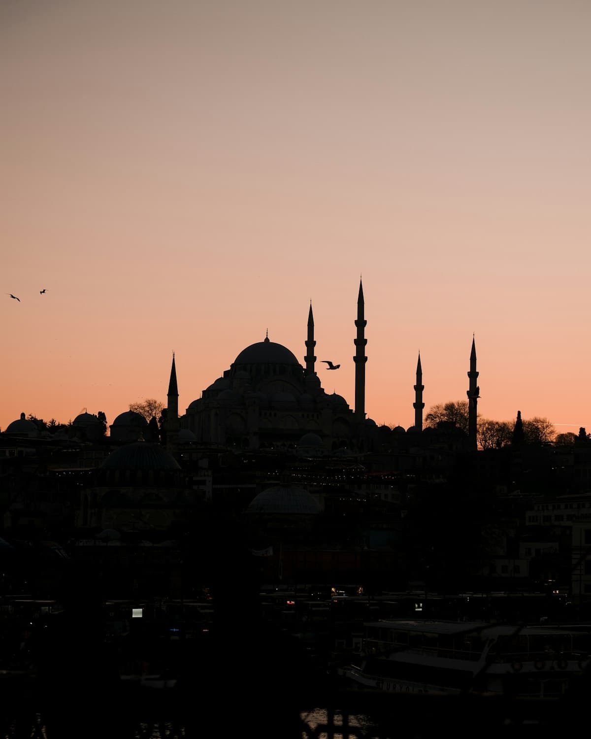 Domes and minarets of a mosque against an evening sky
